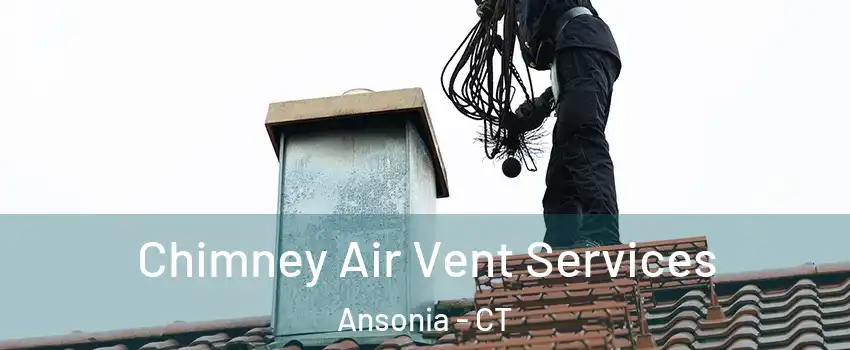  Chimney Air Vent Services Ansonia - CT
