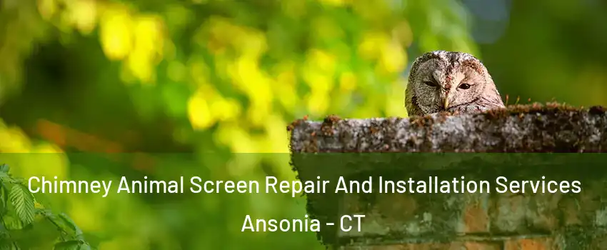  Chimney Animal Screen Repair And Installation Services Ansonia - CT