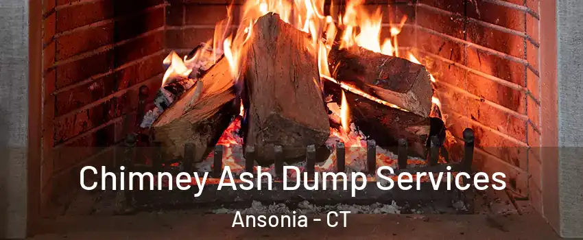  Chimney Ash Dump Services Ansonia - CT