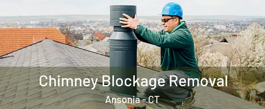  Chimney Blockage Removal Ansonia - CT