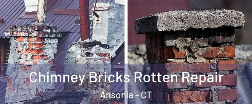  Chimney Bricks Rotten Repair Ansonia - CT