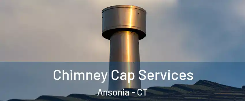  Chimney Cap Services Ansonia - CT