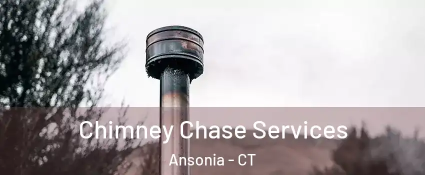  Chimney Chase Services Ansonia - CT