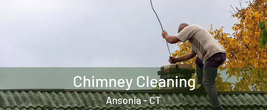  Chimney Cleaning Ansonia - CT