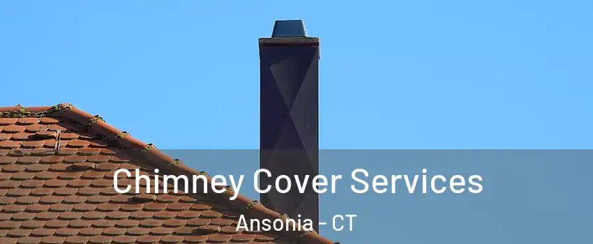  Chimney Cover Services Ansonia - CT