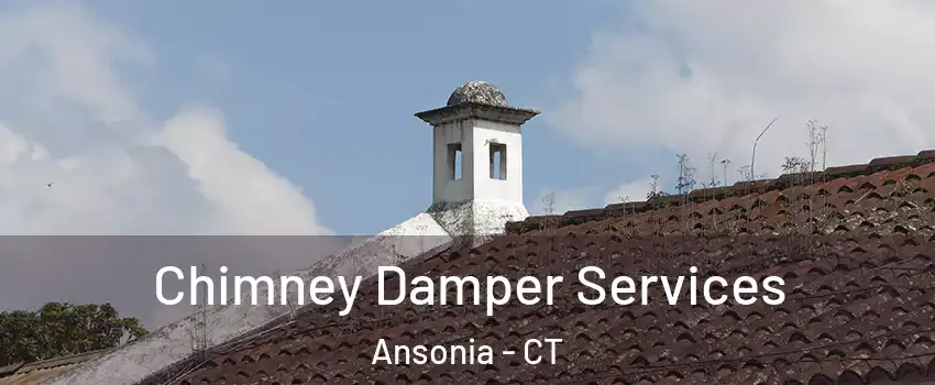  Chimney Damper Services Ansonia - CT
