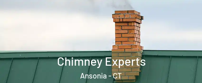  Chimney Experts Ansonia - CT