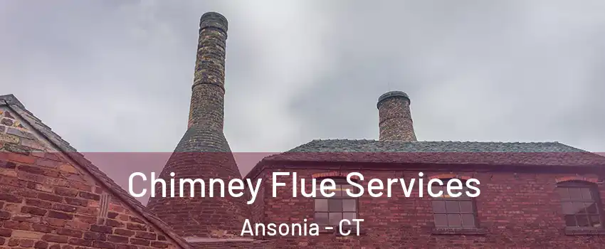  Chimney Flue Services Ansonia - CT
