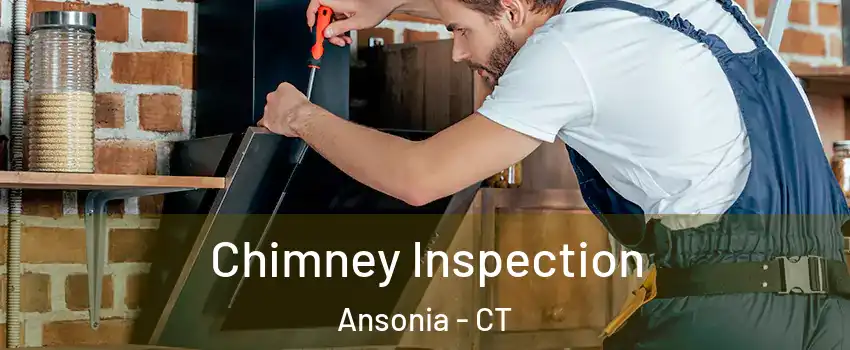  Chimney Inspection Ansonia - CT