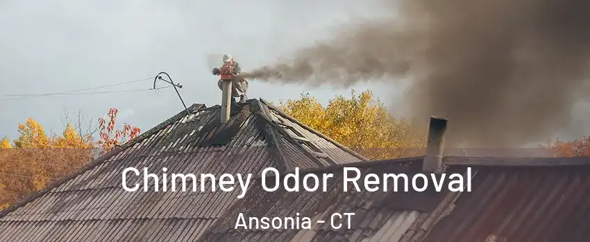  Chimney Odor Removal Ansonia - CT