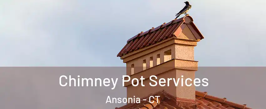  Chimney Pot Services Ansonia - CT