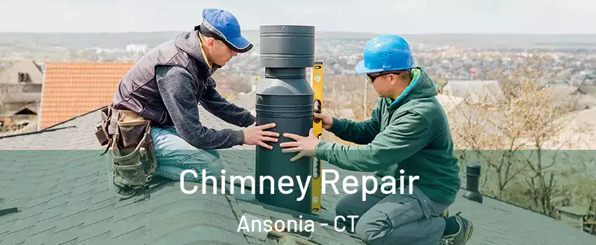 Chimney Repair Ansonia - CT