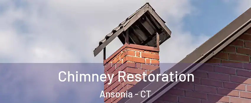  Chimney Restoration Ansonia - CT