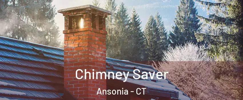  Chimney Saver Ansonia - CT