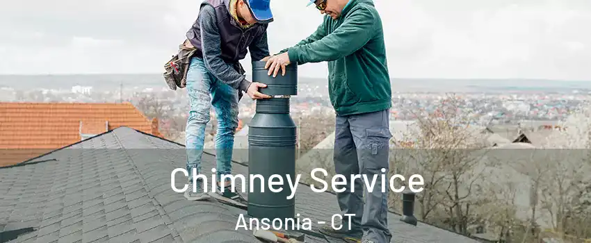  Chimney Service Ansonia - CT