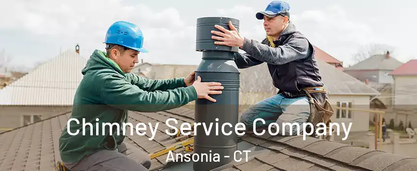  Chimney Service Company Ansonia - CT