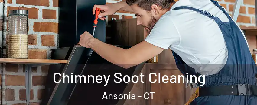  Chimney Soot Cleaning Ansonia - CT
