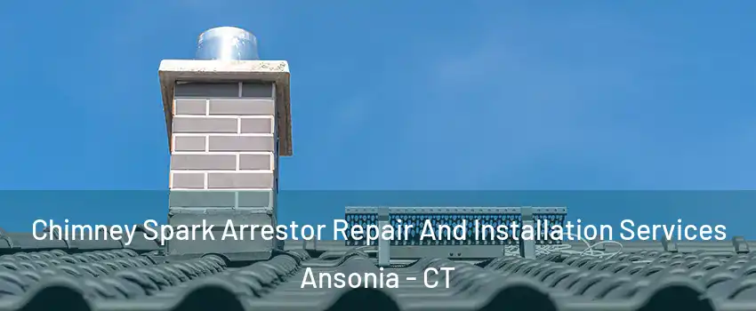  Chimney Spark Arrestor Repair And Installation Services Ansonia - CT