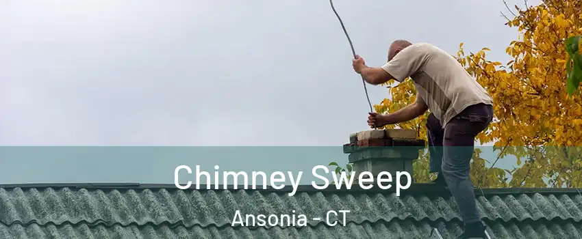  Chimney Sweep Ansonia - CT