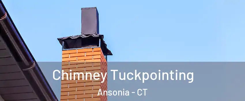  Chimney Tuckpointing Ansonia - CT