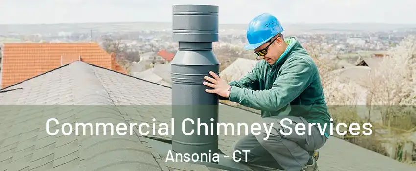  Commercial Chimney Services Ansonia - CT