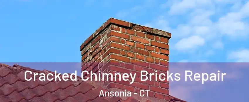  Cracked Chimney Bricks Repair Ansonia - CT