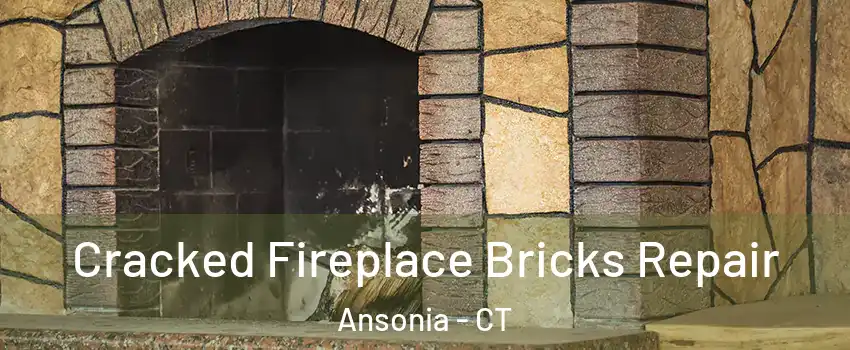  Cracked Fireplace Bricks Repair Ansonia - CT