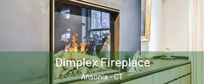  Dimplex Fireplace Ansonia - CT