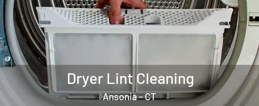  Dryer Lint Cleaning Ansonia - CT