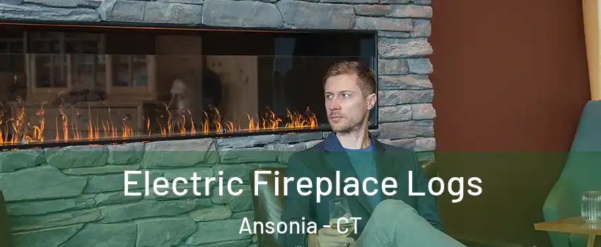  Electric Fireplace Logs Ansonia - CT