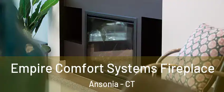  Empire Comfort Systems Fireplace Ansonia - CT