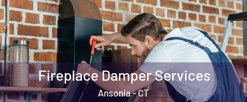  Fireplace Damper Services Ansonia - CT
