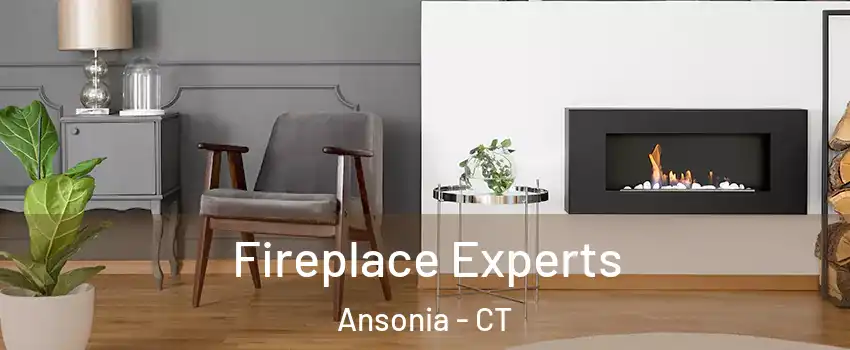  Fireplace Experts Ansonia - CT