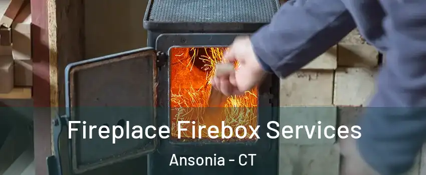  Fireplace Firebox Services Ansonia - CT