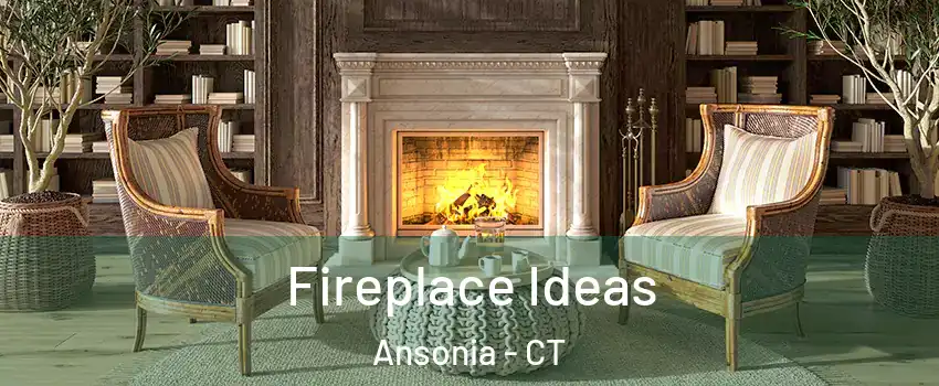  Fireplace Ideas Ansonia - CT