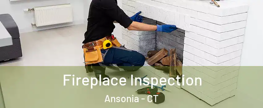  Fireplace Inspection Ansonia - CT