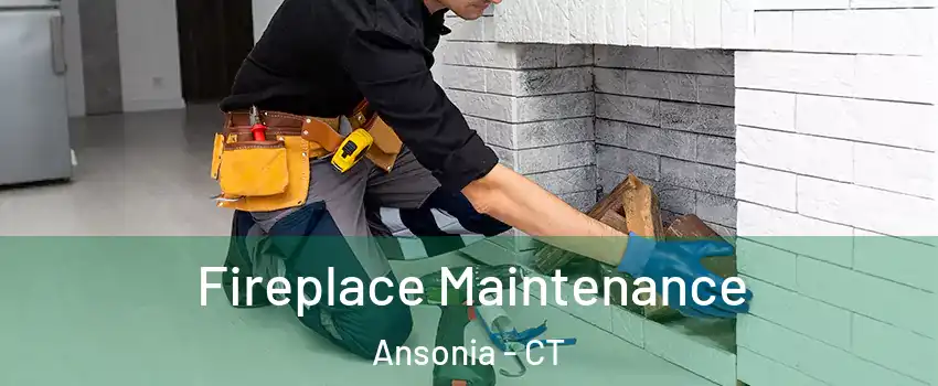  Fireplace Maintenance Ansonia - CT