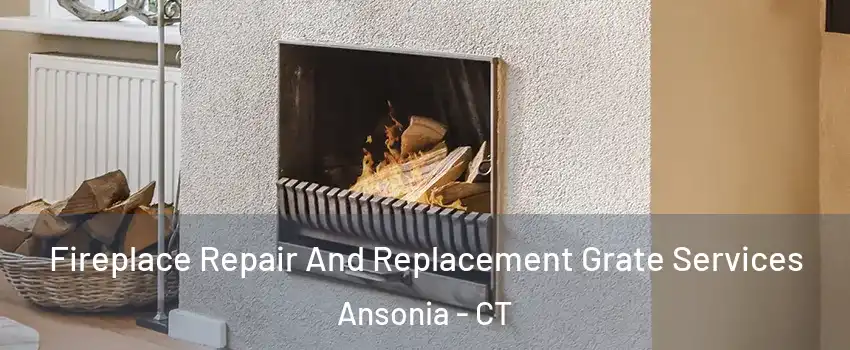  Fireplace Repair And Replacement Grate Services Ansonia - CT