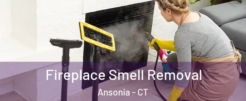  Fireplace Smell Removal Ansonia - CT