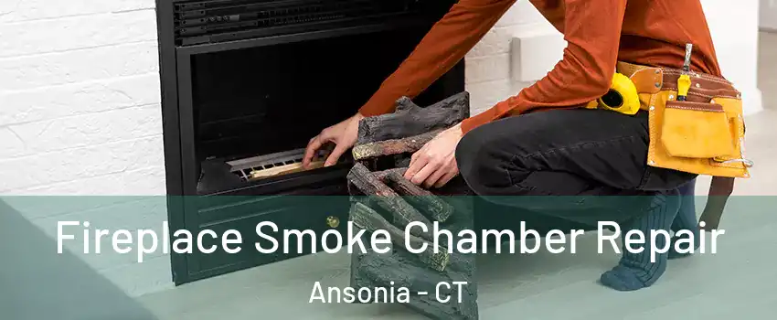  Fireplace Smoke Chamber Repair Ansonia - CT