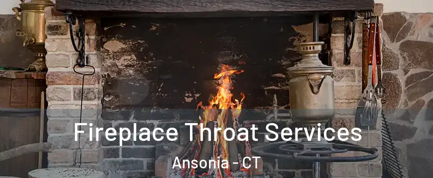  Fireplace Throat Services Ansonia - CT