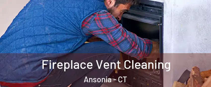  Fireplace Vent Cleaning Ansonia - CT