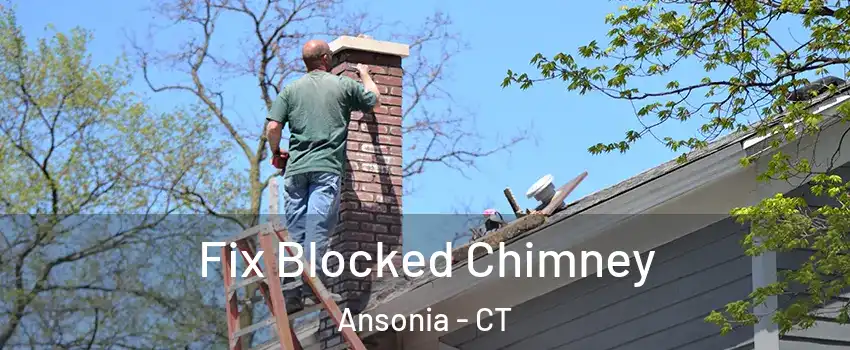  Fix Blocked Chimney Ansonia - CT