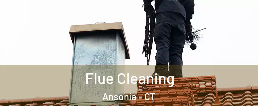  Flue Cleaning Ansonia - CT