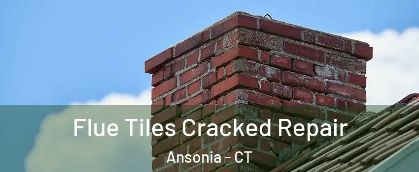  Flue Tiles Cracked Repair Ansonia - CT