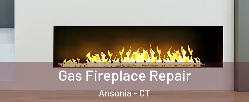  Gas Fireplace Repair Ansonia - CT