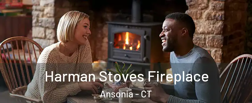  Harman Stoves Fireplace Ansonia - CT