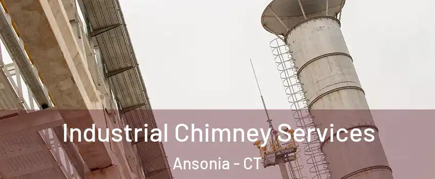  Industrial Chimney Services Ansonia - CT