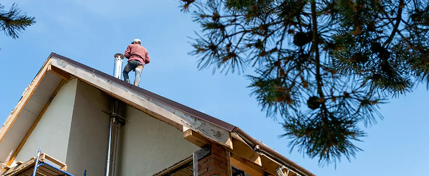 Birds Removal Contractors from Chimney in Ansonia, CT