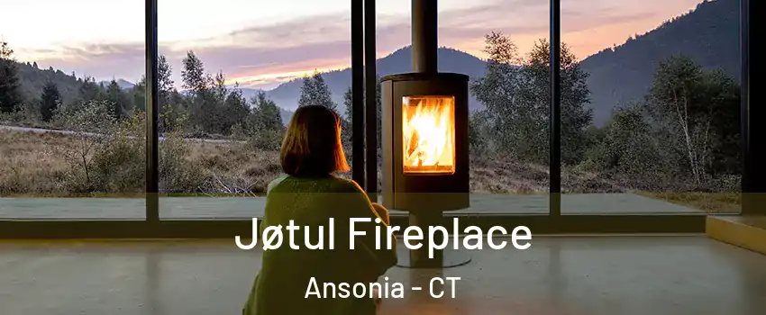  Jøtul Fireplace Ansonia - CT